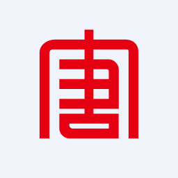 00991 logo