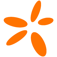 SNN logo